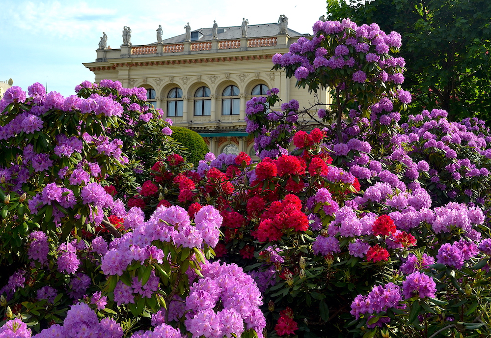 Stadtpark Kur salon