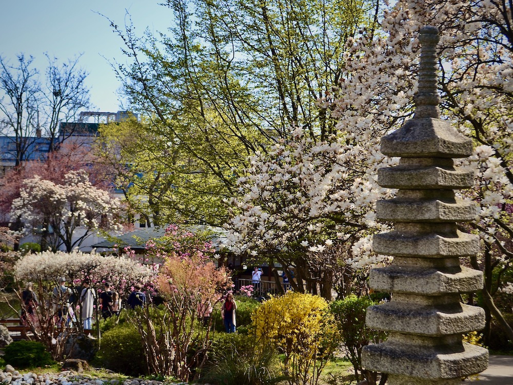 Japanese Stone in Setagaya park in Vienna