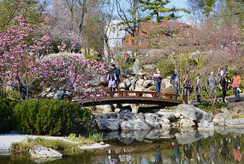 View at Setagaya park in Vienna