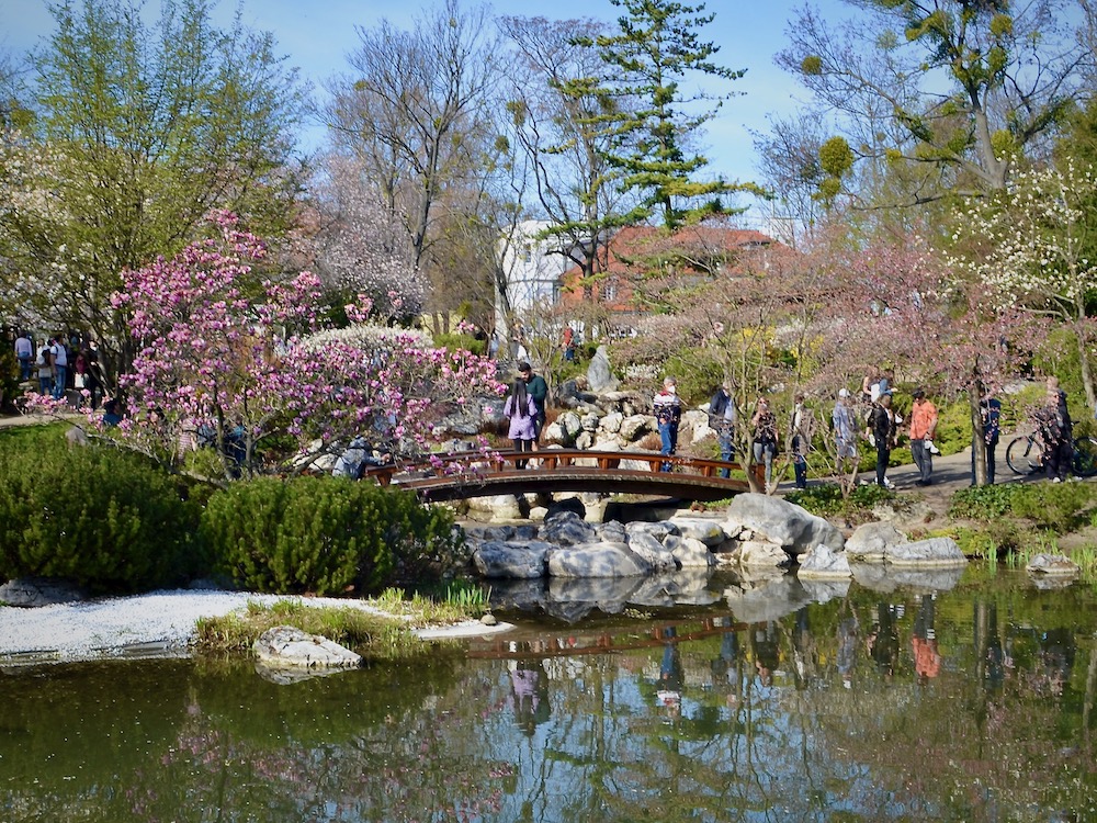 Setagayapark in Vienna in Spring